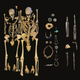 Remains of an adult woman (left) and adult man (right) excavated at the Atlenerding site. Evidence of Y. persis was found in the remains.